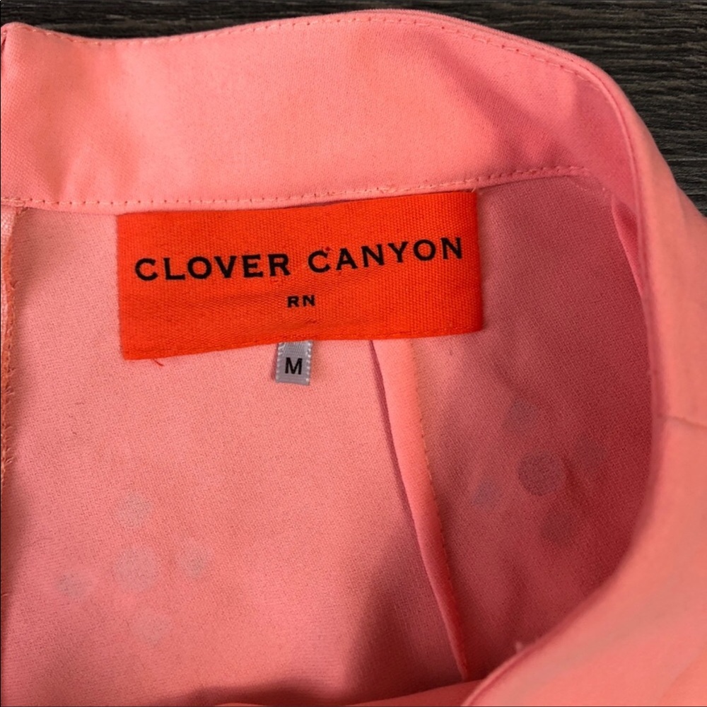 Clover Canyon Shorts View 3